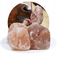 Гималайская соль Лизун для лошадей своими руками 10 кг