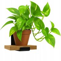 СОВРЕМЕННАЯ КЛУМБА НАСТЕННАЯ ПОДВЕСНАЯ ЦВЕТОЧНАЯ НАСТЕННАЯ ПОЛКА ЛОФТ ДЕРЕВО 15