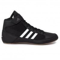 Кроссовки Adidas Havoc 2 Kids AQ3327 черные | 38