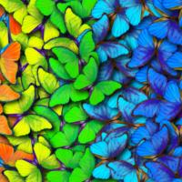 Naklejka na stolik IKEA LACK motylki kolorowe