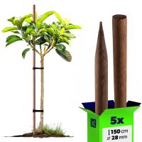 ОПОРА ДЛЯ РАСТЕНИЙ ЦВЕТОЧНЫЕ КОЛ ПРОПИТАННЫЙ 5шт