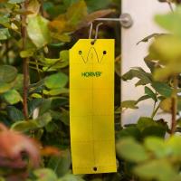 Pułapki lepowe żółte tablice na szkodniki małe 10 szt