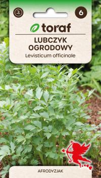 Lubczyk ogrodowy [ Levisticum officinale ] nasiona 1 gram x 2 opakowania