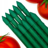 TYCZKI DO POMIDORÓW PALIKI 120CM PODPORA DO ROŚLIN KWIATÓW WARZYW 10 SZTUK