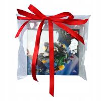 WORECZKI CELOFANOWE 25x35 cm Torby Worki ZAKLEJANE 100szt.