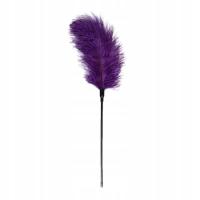 Pejcz-Purple Feather Tickler