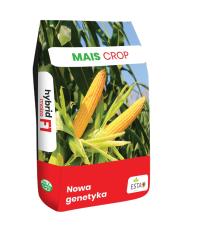 Nasiona kukurydzy Kosmal FAO 260 na kiszonkę