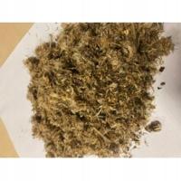 Arnika Meksykańska 1 Kg Rafex