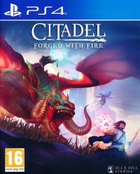 Citadel Forged with Fire Nowa Gra MORPG PS4 PS5