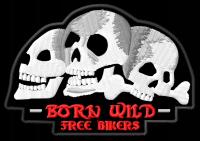 Naszywka termo 3 czaszki