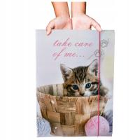 Teczka na Dokumenty A4 z Gumką dla DZIECI Szkolna do Szkoły Kartonowa KOTEK