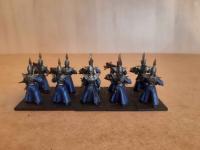 Warhammer Fantasy Old World - Dark Elves - Dark Elf Darkshards - pomalowani