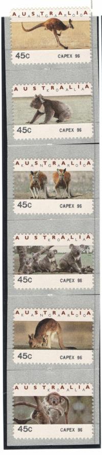 Australia Mi. Aut CAPEX czyste ** - fauna koala