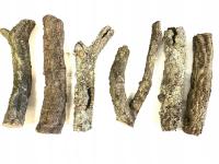 Gałęzie korkowe do terrarium Cork Branch - gałąź dębu korkowego 30cm