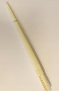 Koncha Hopi 1 para - Adam Wiśniowiecki