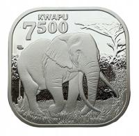 BAROTSELAND - NAMIBIA ANGOLA 7500 KWAPU 2024 SŁOŃ AFRYKAŃSKI 46mm PROOFLIK