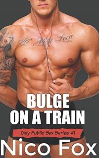 Bulge on a Train: A Gay Public Sex Story: 1 (Gay Public Sex Series) Fox,