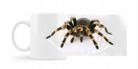 Чашка с пауком тарантул паук тарантул