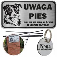 TABLICZKA UWAGA PIES ADRESÓWKA BORDER COLLIE