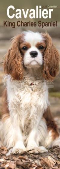 Cavalier King Charles Slim Calendar 2025 Dog Breed Slimline Calendar - 12