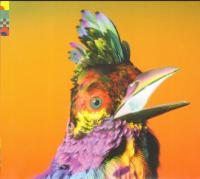 CD: FLUME – Palaces - LIMITED EDITION + 2 utwory #317