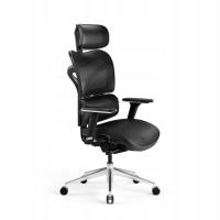 Эргономичное офисное кресло для кабинета DIABLO V-COMMANDER: черный и черный