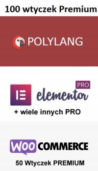 Polylang Pro + 58 innych wtyczek PRO. WordPress