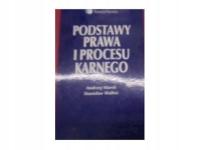 Podstawy prawa i procesu karnego - Andrzej Marek