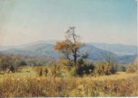 Bieszczady panorama - 035829