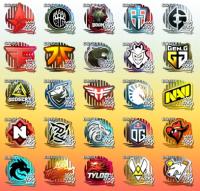 10xSTICKER NAKLEJKA LOSOWA FNATIC NIP NATUS OPTIC