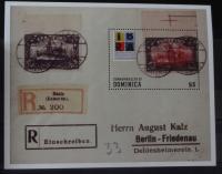 DOMINIKA CZYSTE KLEJ