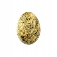 Jajko ozdobne PIĘKNE kamień naturalny 7 cm Jaspis koralowy Skamieniałości