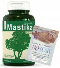 Мастика / бактериальная язва желудка / Helicobacter Pylori / 60 капс.