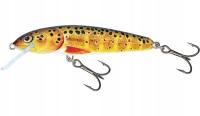 Wobler Salmo Minnow Floating 5cm/3g Trout