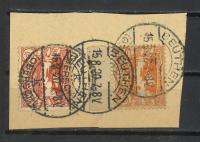 PLEBISCYT. GÓRNY ŚLĄSK. Na wycinku.