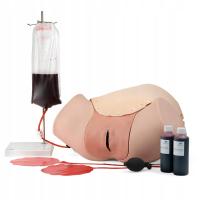 3B Scientific Postpartum Hemorrhage Trainer - Pph