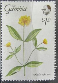 Gambia stary znaczek (6/11
