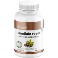 RÓŻENIEC GÓRSKI 90 kap RHODIOLA ROSEA 500mg PAMIĘĆ Koncentracja| INSPORT