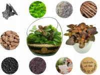 LAS W SŁOIKU SZKLE KOMPLETNY 10 elementów Z ROŚLINKĄ I KULA SŁÓJ ZESTAW