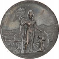 15.fu.SZWAJCARIA, MEDAL STRZELECKI - MORGES 1891