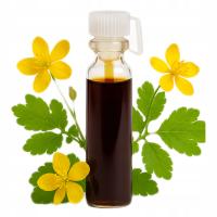 GLISTNIK GÓRSKI JASKÓŁCZE ZIELE KURZAJKI BRODAWKI WŁÓKNIAKI MODZELE 3ml