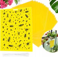 ŻÓŁTY LEP DO DONICZEK ROŚLIN TABLICE x10 na Ziemiórki Mszyce Muszki Owady