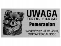 Tabliczka Uwaga PIES TERENU PILNUJE POMERANIAN