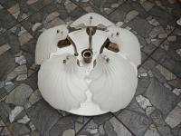 Żyrandol,plafon,lata 40-50,włoski,klosze muszle