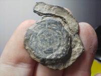 Stara plomba Stanisław Poniatowski SAP ? XVIII wiek Herb królewski ?