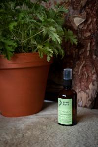 Hydrolat z GERANIUM 100% z polskiego gospodarstwa DZIKIE DOBRO 100 ml