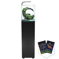 Aquael Shrimp Set D&N 30 czarny LED zestaw akwarium + szafka