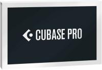 STEINBERG CUBASE PRO 13 DAW ПРОГРАММНОЕ ОБЕСПЕЧЕНИЕ