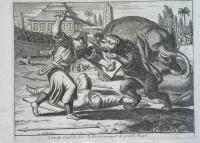 1727 ORYGINAŁ INDIE WIELCY MOGOŁOWIE gladiatorzy wojownik AZJA ORIENT super