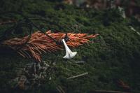 Młot Thora Sif z możliwością personalizacji - srebro 925 - Mjolnir